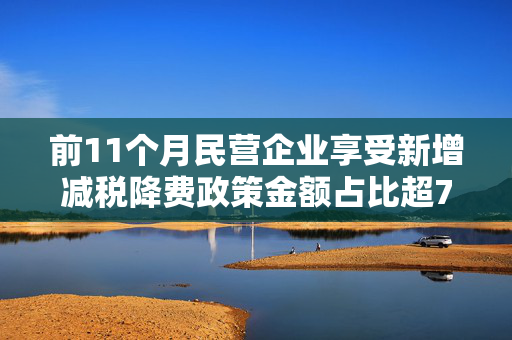 前11个月民营企业享受新增减税降费政策金额占比超70%