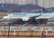 韩国空难致命混凝土致179人丧生！工程负责人在家中死亡